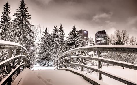 Winter City Park Wallpapers - Wallpaper Cave