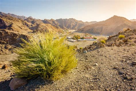 440+ Fujairah Mountains Stock Photos, Pictures & Royalty-Free Images - iStock