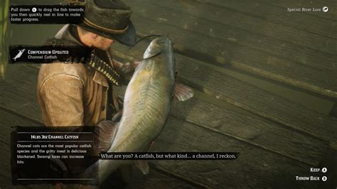 RDR2: Channel Catfish by SPARTAN22294 on DeviantArt