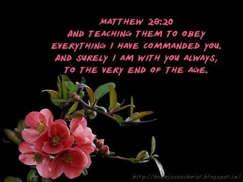 Matthew 28:20 KJV Teaching them to observe all things whatsoever I have ...