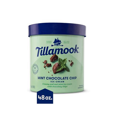 Tillamook Original Premium Mint Chocolate Chip Ice Cream 1.5QT ...