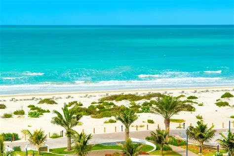 Saadiyat Beach: Complete Visitors Guide to Abu Dhabi's Best Beach | Abu Dhabi Travel Planner