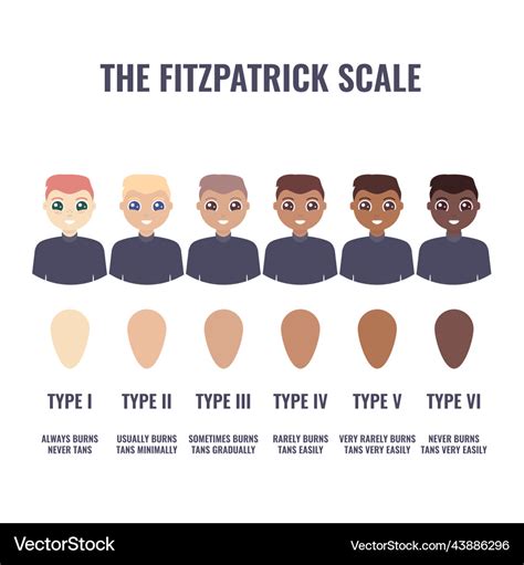 Fitzpatrick skin type classification scale in men Vector Image