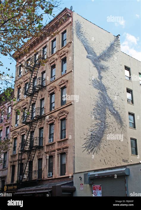 New York, United States of America: Brooklyn buildings and murals ...