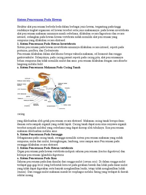 Sistem Pencernaan Pada Hewan | PDF