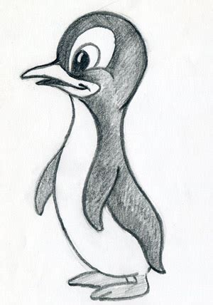 Let’s Draw Cartoon Penguin. Cute!