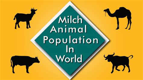 Population Of Milch Animals In The World | Major Source of Milk - YouTube