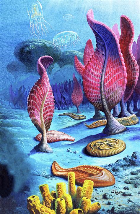 Ediacaran Organisms Photograph by Science Photo Library - Fine Art America