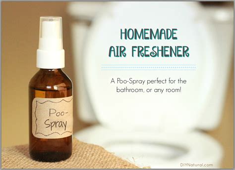 Homemade Air Freshener: A Natural Air Freshener and Poo Spray