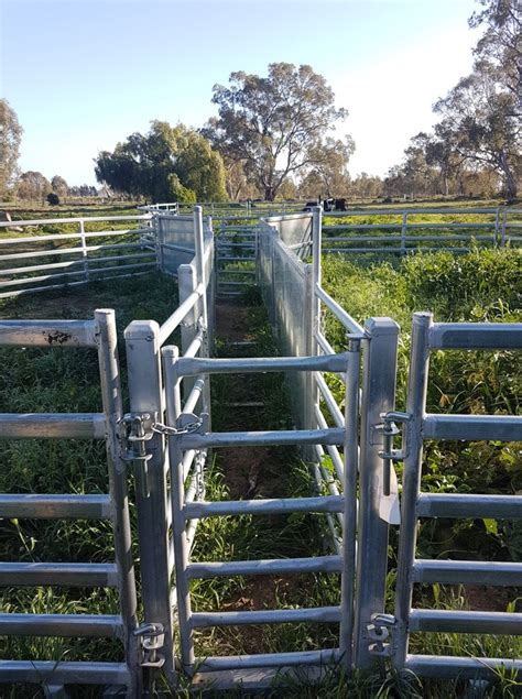 Sheep Yard | Livestock Equipment - Portable Sheep Yards For Sale