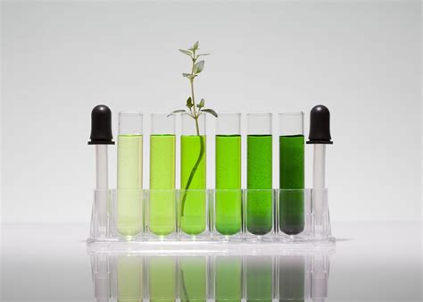 Real-World Green Chemistry Examples