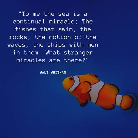 Blog: Our Favourite Ocean Quotes — The Reef-World Foundation