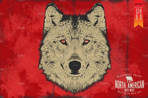 Grey Wolf - Vector illustration | Animal Illustrations ~ Creative Market