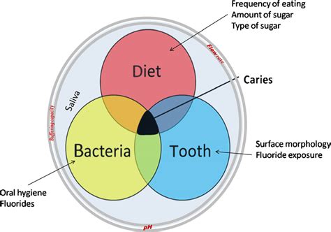 Etiology of dental caries | Download Scientific Diagram