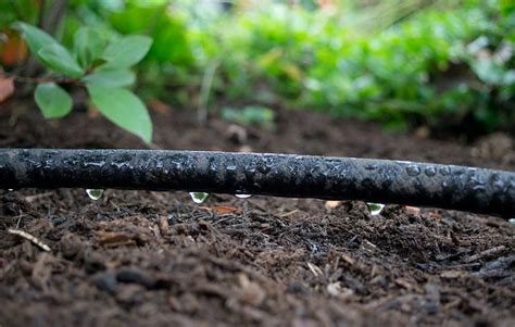 How to Install a Drip Irrigation System In Your Garden - Soaker Hose Tips