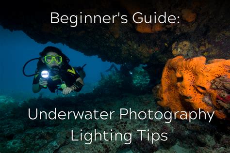 Beginner's Guide: Underwater Photography Lighting Tips – Underwater ...