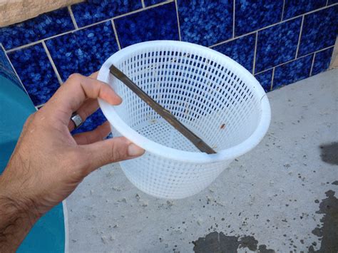 Skimmer Basket Cleaning | DIY Pool Cleaning