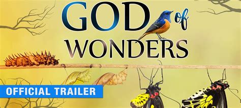 Watch God of Wonders - Official Trailer Online - Pure Flix