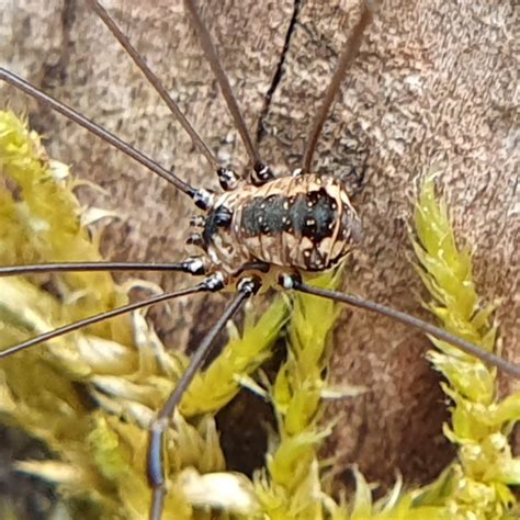 Macro Nature - My Science Club