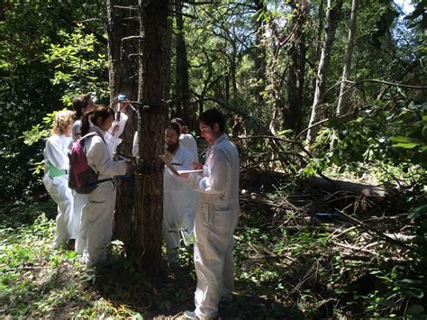 Internships | UC Santa Cruz Forest Ecology Research Plot