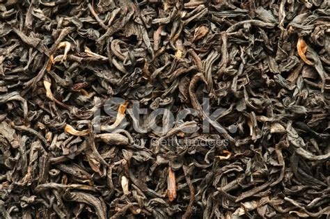 Assam Tea Leaves Background From Overhead Stock Photo | Royalty-Free | FreeImages