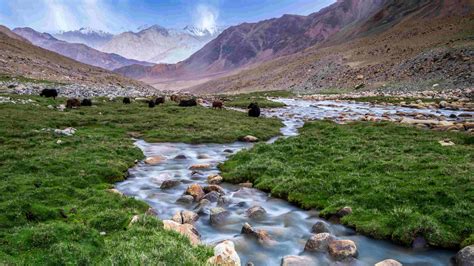 8 Most Beautiful Valleys in Jammu and Kashmir You Must Visit in 2022