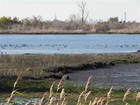 Gateway National Recreation Area, Jamaica Bay Wildlife Refuge - American Hiking Society