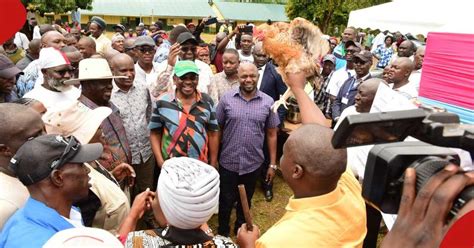 James Orengo Sets Aside KSh 15m to Revive Cotton Farming in Siaya ...