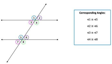 Transversals and Parallel Lines: Geometry - Math Lessons