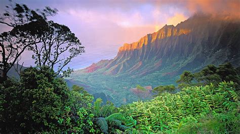 HD wallpaper: cliff, forest, Hawaii, mountains, landscape, island ...