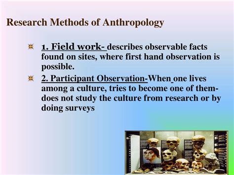 PPT - Anthropology PowerPoint Presentation, free download - ID:6890046