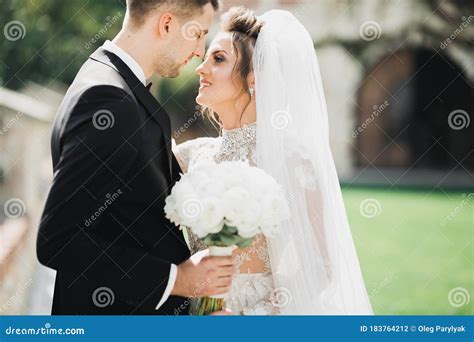 Beautiful Romantic Wedding Couple of Newlyweds Hugging in Park Stock Photo - Image of nature ...