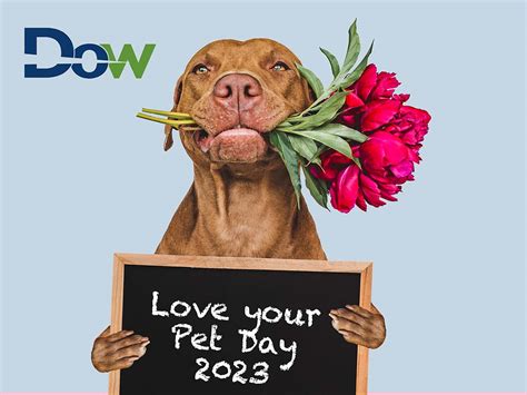 Happy love your Pet day 2023 | Blog | Dow UK News