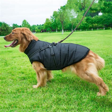 Pet Dogs Warm Clothes Waterproof Small Big Dog Jacket Autumn Winter Warm Pet Dog Skiing Coat ...