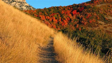 Appalachian Mountains Wallpapers - Wallpaper Cave