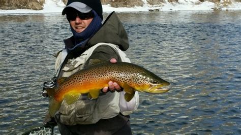 Wyoming Trout Fishing Destinations - Wyoming Anglers