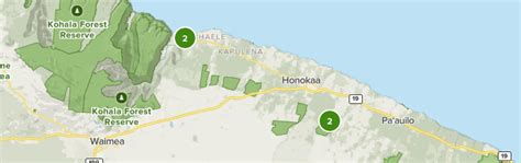 Best Forest Trails in Honokaa | AllTrails