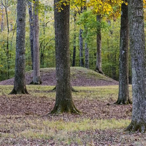 SHILOH INDIAN MOUNDS NATIONAL HISTORIC LANDMARK: Tutto quello che c'è da sapere