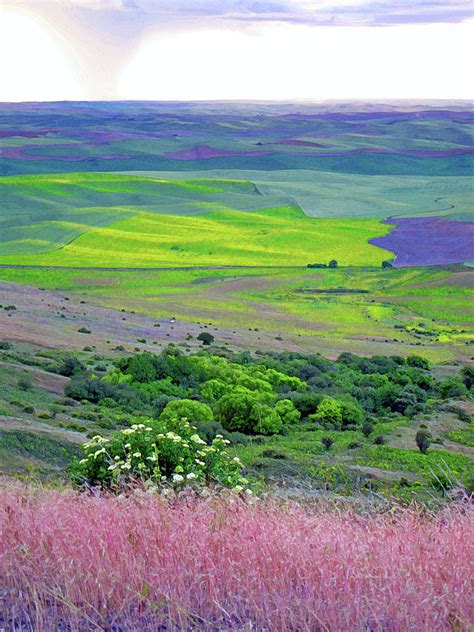 Steptoe Butte Photograph by Margaret Hood - Fine Art America