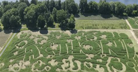 Farmers Share The Secrets Behind Intricate Cornfield Maze Designs | 12 ...