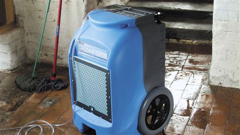 How To Use Dehumidifiers: Everything You Need To Know