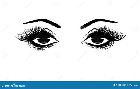 Beautiful Woman`s Eyes Close-up, Thick Long Eyelashes, Black and White Vector Illustration Stock ...