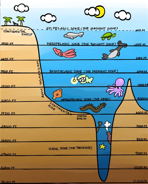 Ocean Layers Worksheet