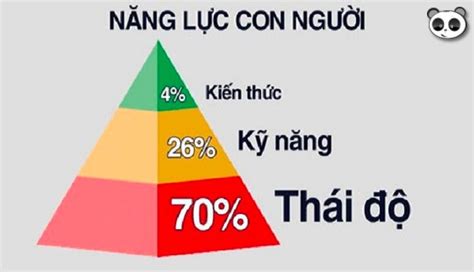 Mô Hình ASK Là Gì? Cách Đánh Giá Năng Lực Nhân Viên Theo Mô Hình ASK