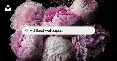 Floral Wallpapers: Free HD Download [500+ HQ] | Unsplash