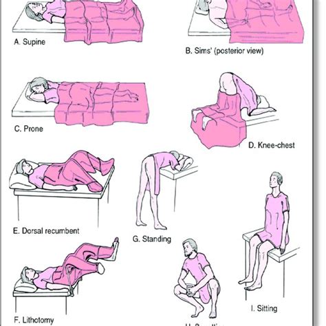 Types of patient positions . | Download Scientific Diagram