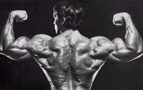 Arnold Schwarzenegger Back Workout Blueprint — Breed Muscle | by Asad ...