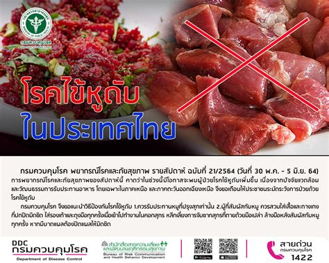 Streptococcus Suis - Mekha News (มีค่านิวส์) : เว็บไซต์ข่าว ที่จะนำเสนอข่าวสารเพื่อรักษาสิทธิให้ ...