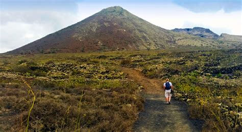 Lanzarote: Exploring Volcanic Craters and Wildlife on the Island - The Status Life