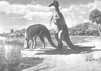 A History of Dinosaur Hunting and Reconstruction